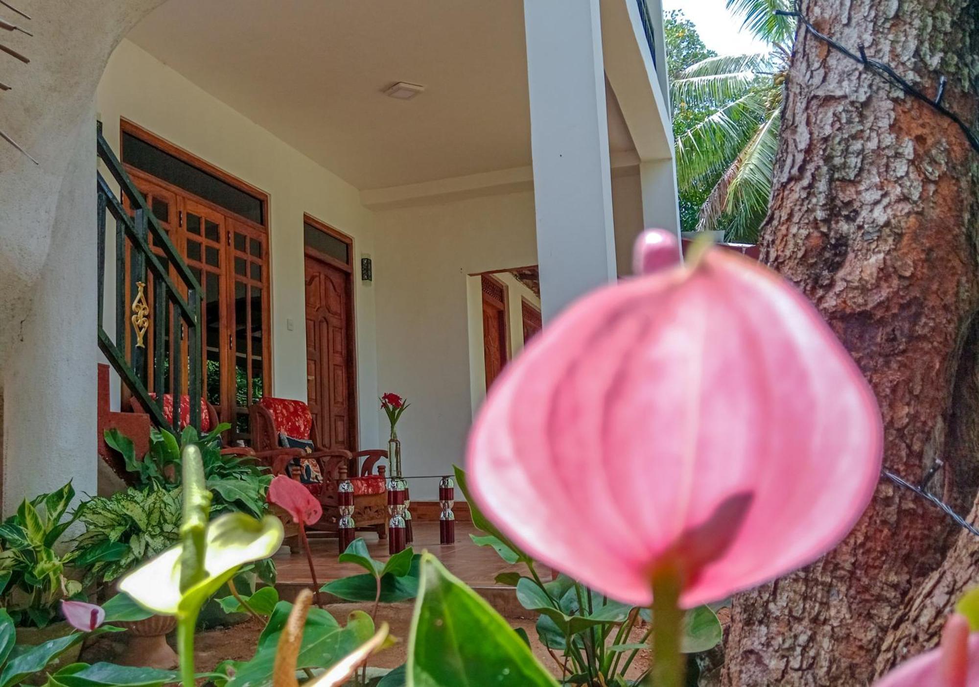 Gimhana Homestay 锡吉里亚 外观 照片