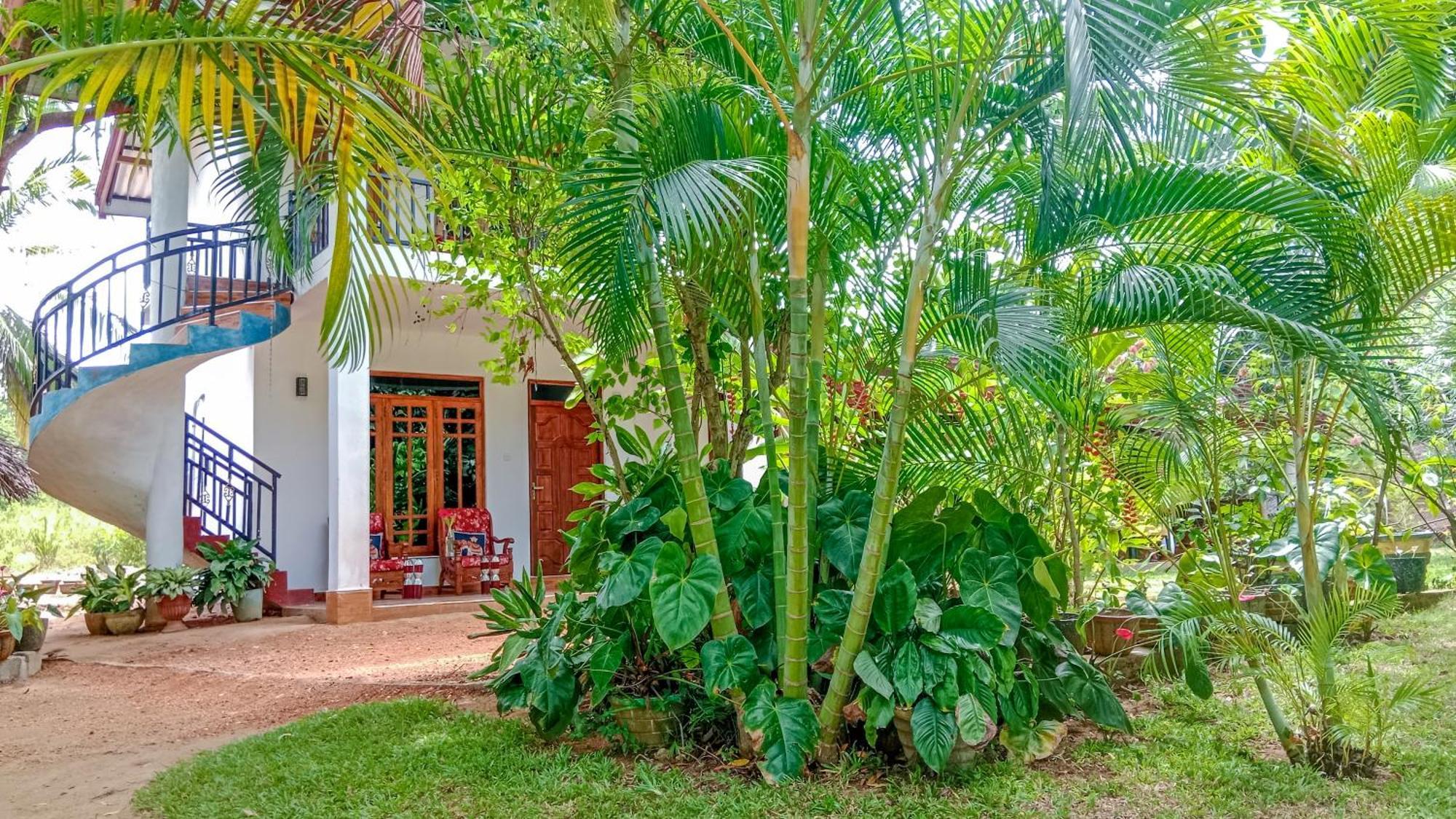 Gimhana Homestay 锡吉里亚 外观 照片