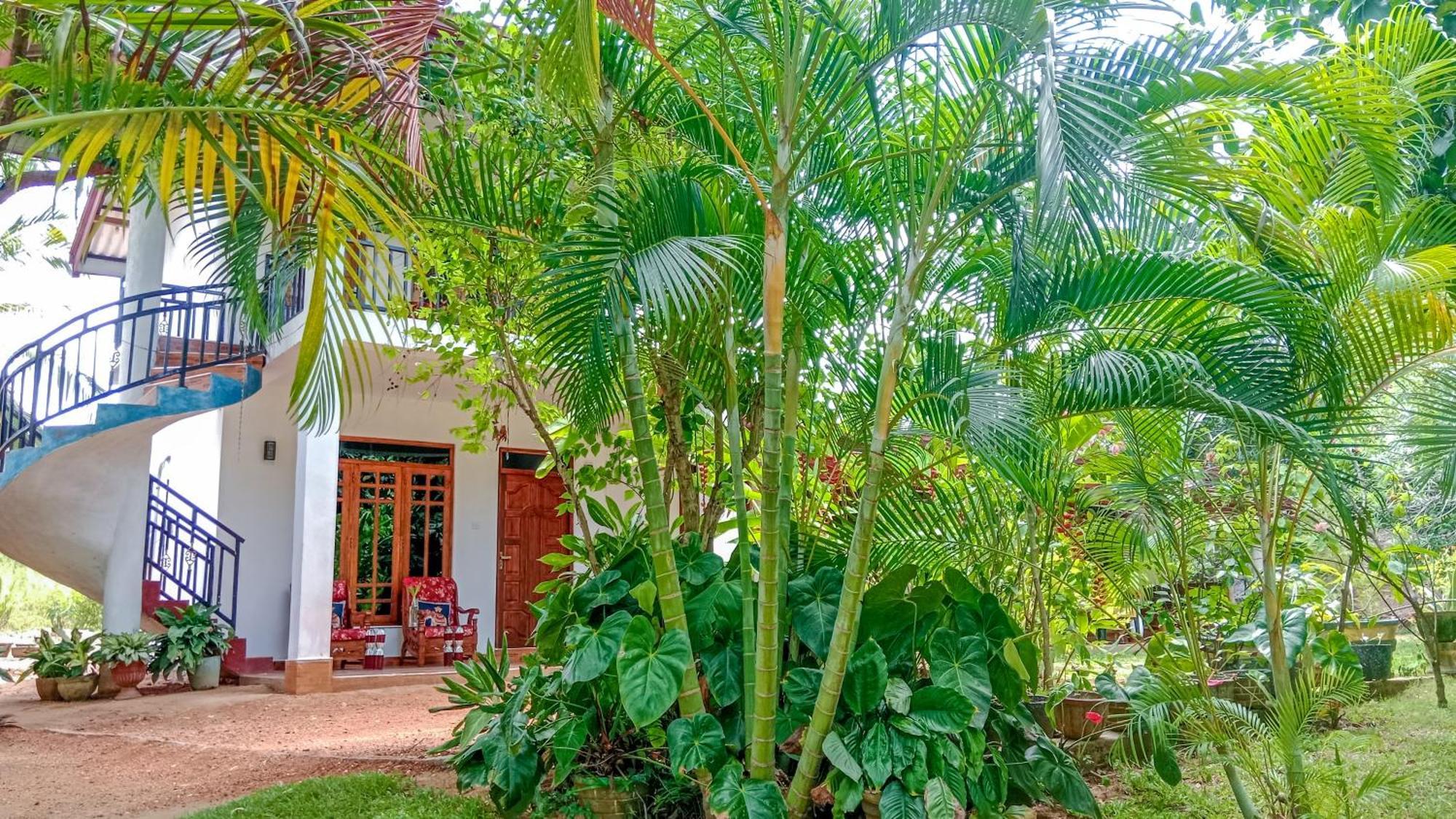 Gimhana Homestay 锡吉里亚 外观 照片
