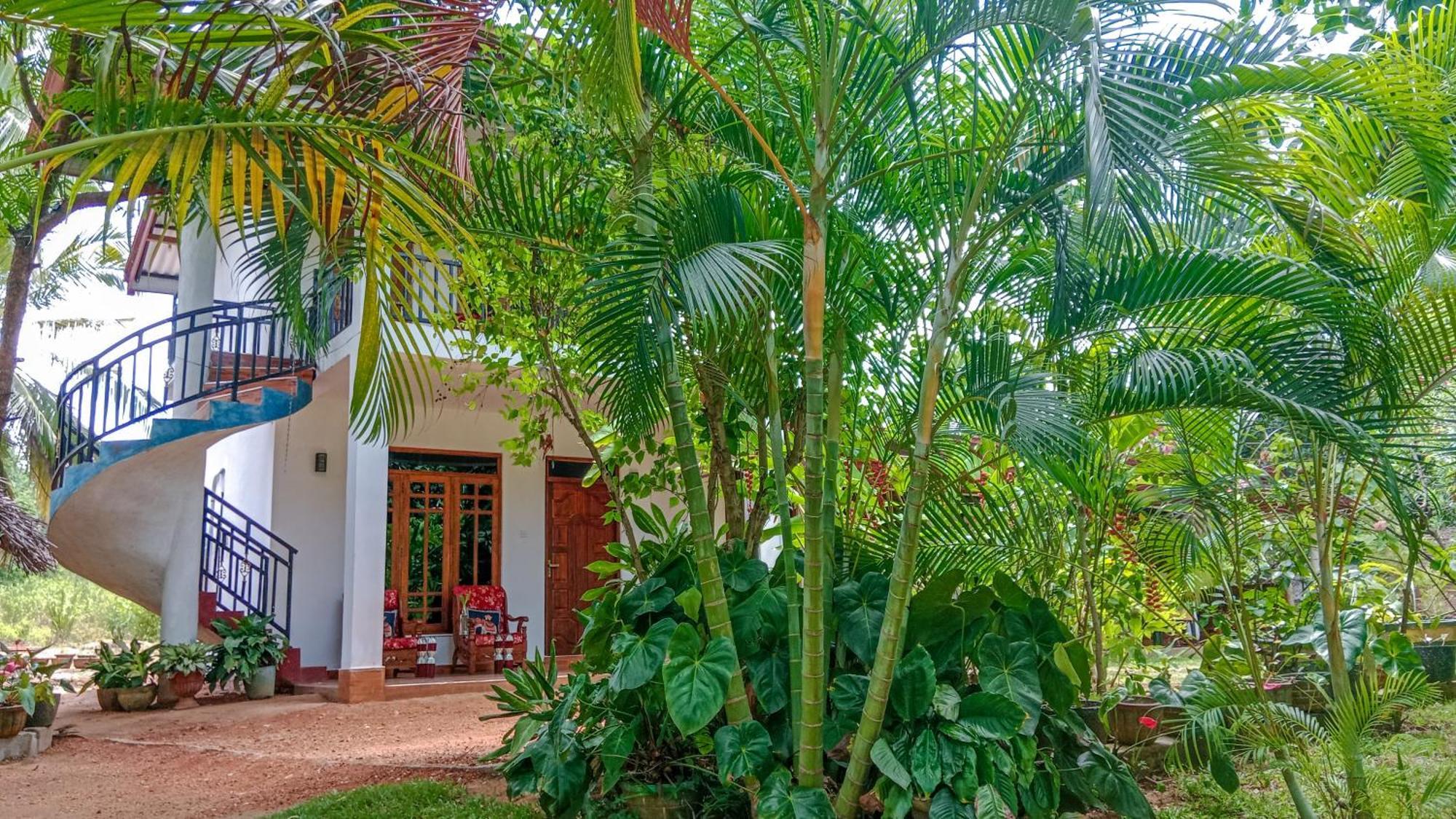 Gimhana Homestay 锡吉里亚 外观 照片