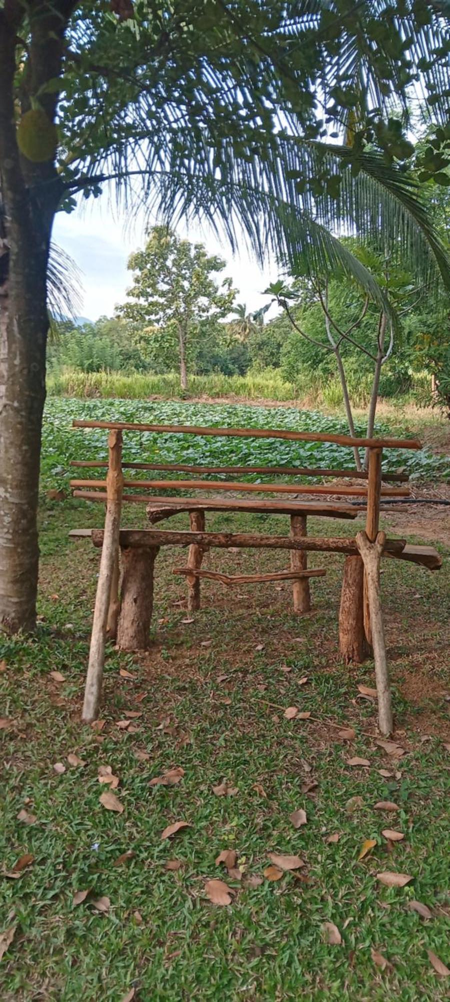 Gimhana Homestay 锡吉里亚 外观 照片